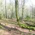 Parque Natural de Nansa y el Alto Besaya;cascajares segovia bolsillos para mochilas senderismo lagun